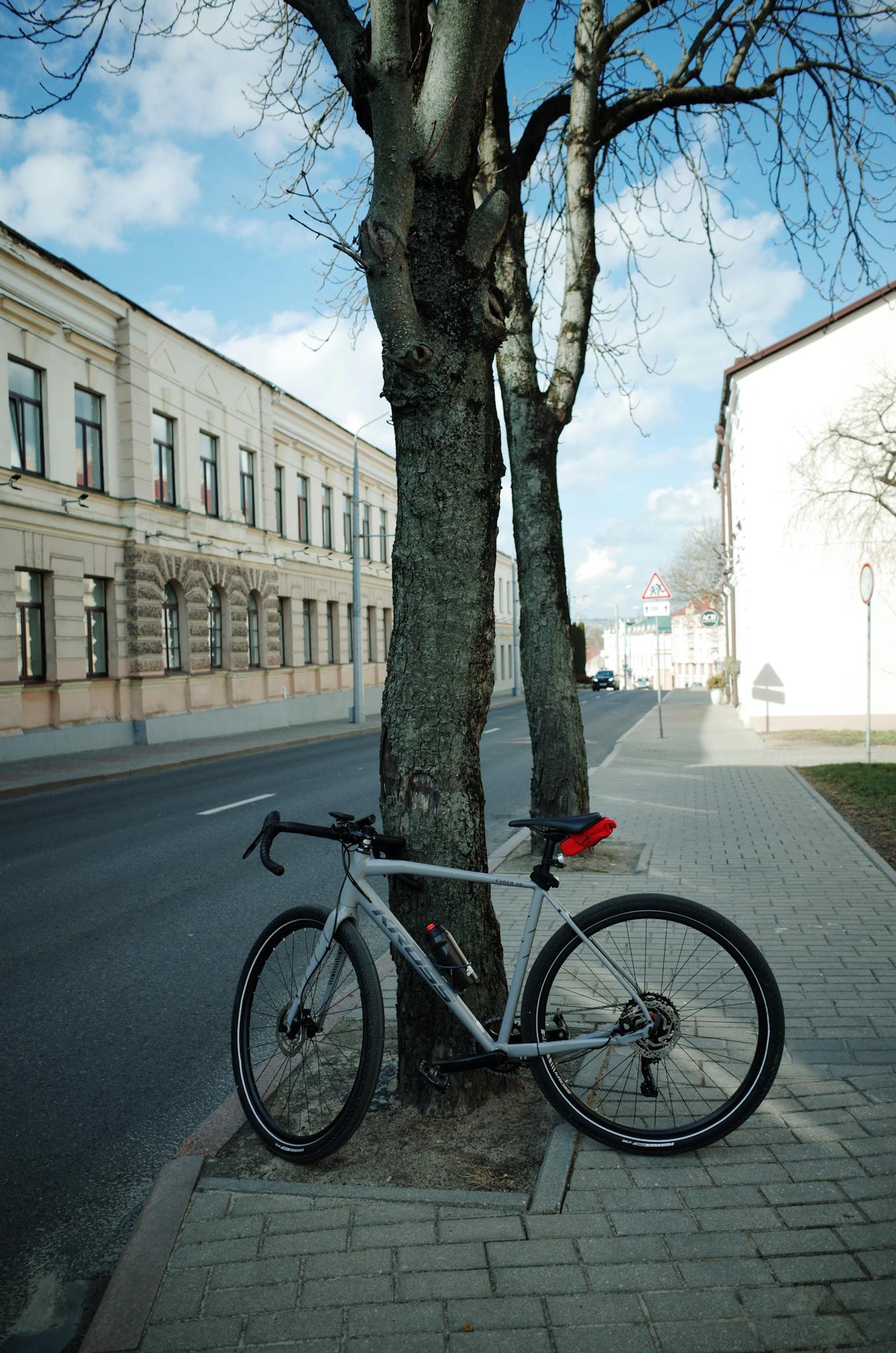 A bicycle rests against a tree on a quiet urban street with historic buildings.