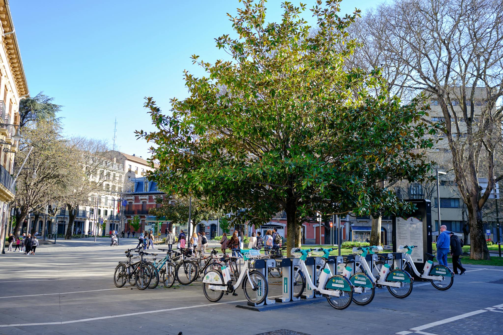 Lively town square with rental bicycles and a central green tree during the day.