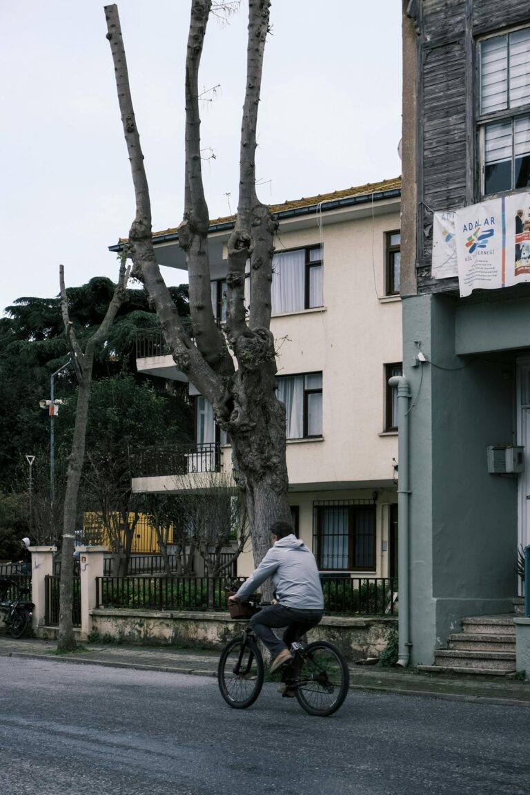 A cyclist rides past classic architecture in an İstanbul street, capturing urban charm and tranquility.
